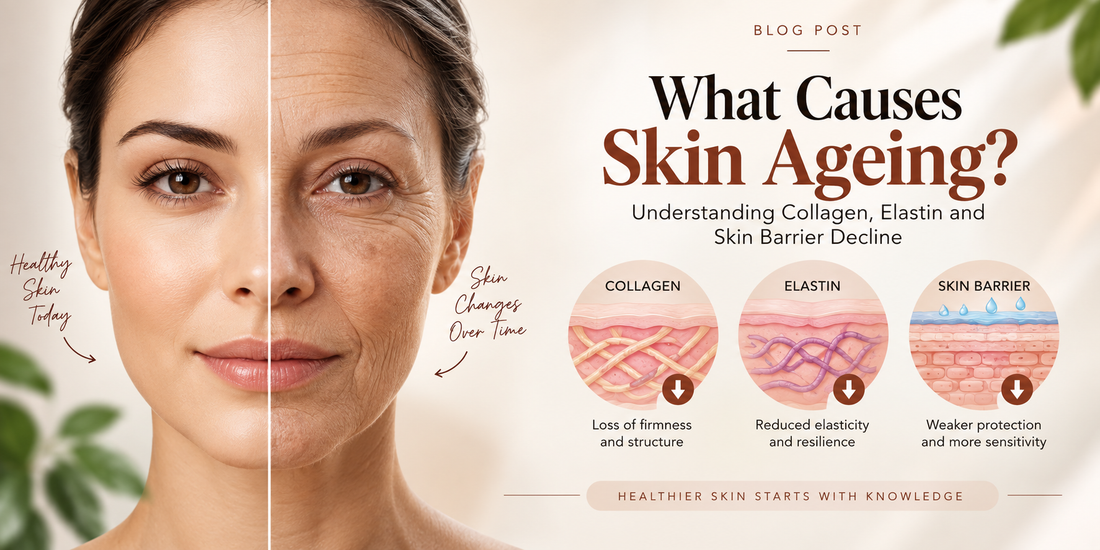 What Causes Skin Ageing? Understanding Collagen, Elastin and Skin Barrier Decline
