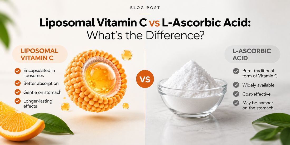 Liposomal Vitamin C vs L-Ascorbic Acid: What’s the Difference?